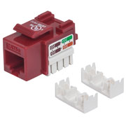 Jack Intellinet CAT 5e de impacto (keystone) rojo