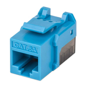 LM-Jack Intellinet CAT 6a de impacto (keone)