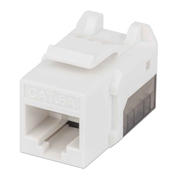 LM-Jack Intellinet CAT 6a de impacto (keone)